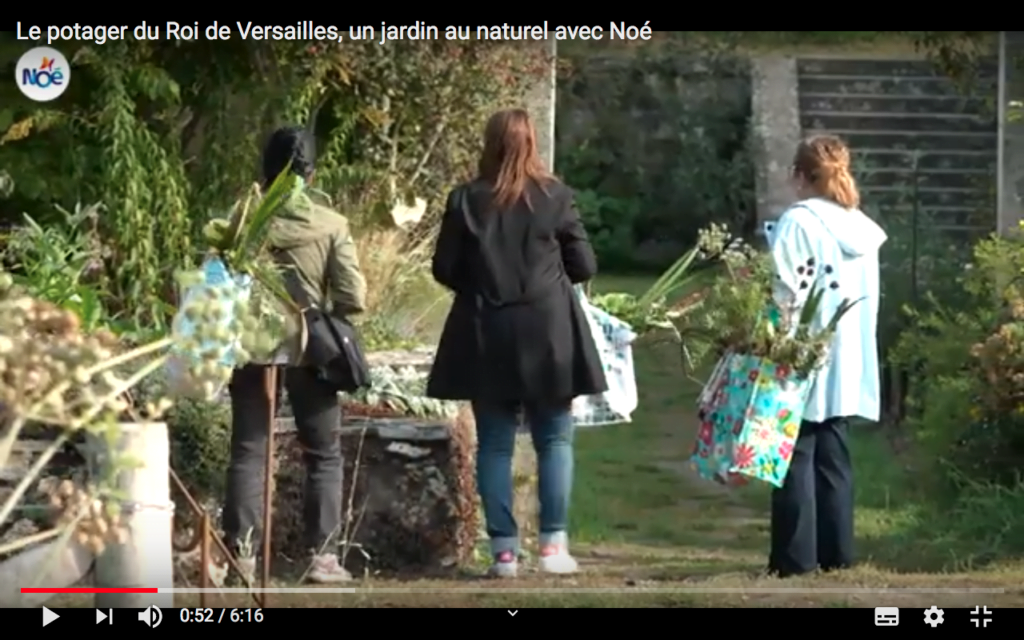 Le potager du Roi de Versailles : un jardin au Naturel